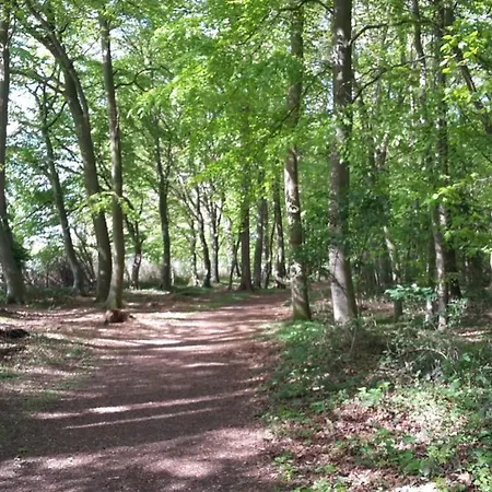 Komfort+ C1 Kellenhusen